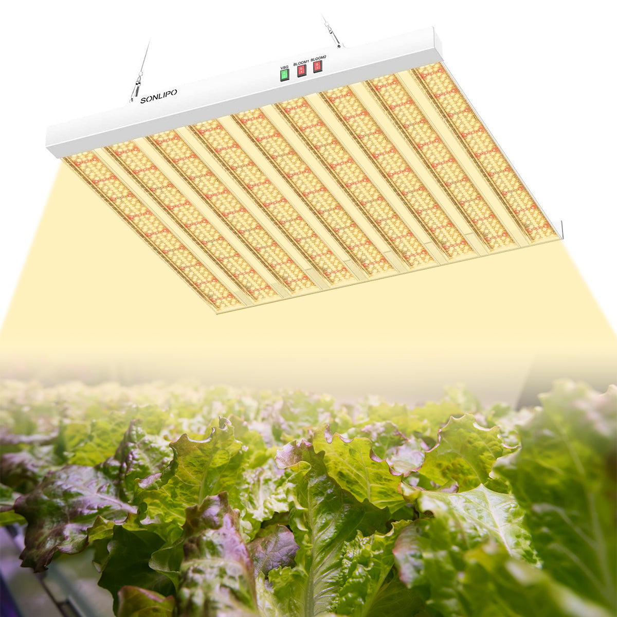JideTech Pflanzenwachstumslampe mit Aluminiumgehäuse, 9 Balken, LED-Pflanzenlampe mit Vollspektrum für Zimmerpflanzen (SPF4000-400W) 