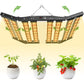 JideTech LED-Pflanzenlampe Samsung LED 8-Leiste Verstellbar 650W Vollspektrum LED-Wachstumslampe Gartenbau Zimmerpflanzen (SPC6500-650W) 